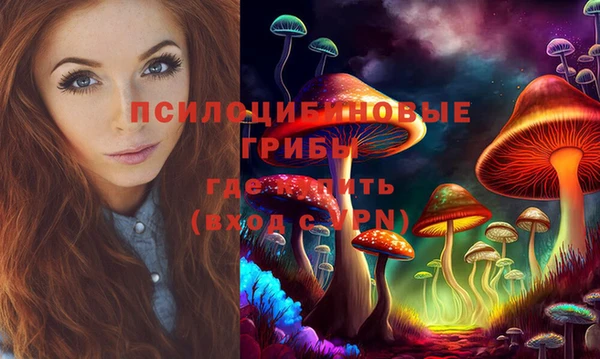 винт Алексеевка