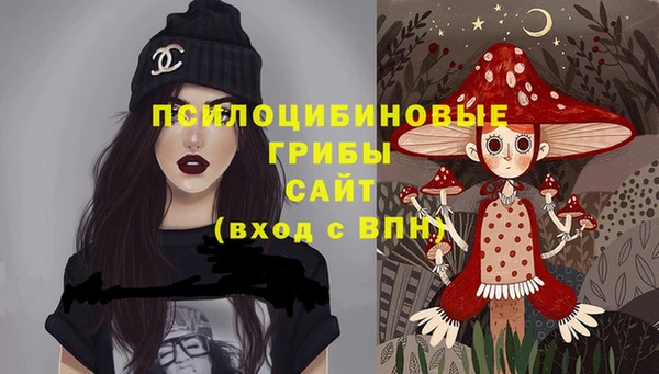 винт Алексеевка