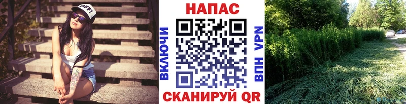 Канабис гибрид  продажа наркотиков  Евпатория 